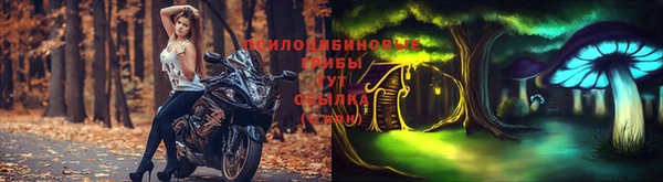 каннабис Белокуриха