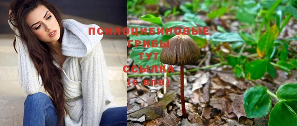 каннабис Белокуриха
