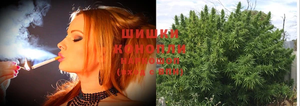 каннабис Белокуриха